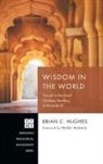 Brian C. Hughes - Wisdom in the World