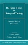 Kelley Coblentz Bautch, Vincent Skemp - The Figure of Jesus in History and Theology
