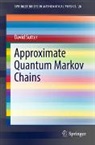 David Sutter - Approximate Quantum Markov Chains