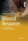 Manuel Bustillo Revuelta - Mineral Resources