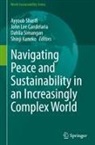 John Lee Candelaria, Shinji Kaneko, Ayyoob Sharifi, Dahlia Simangan - Navigating Peace and Sustainability in an Increasingly Complex World