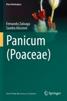 Sandra Aliscioni, Fernando Zuloaga - Panicum (Poaceae)