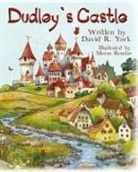 David York - Dudley's Castle