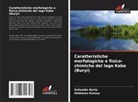 Sefawdin Berta, Habtamu Kassay - Caratteristiche morfologiche e fisico-chimiche del lago Kabo (Buryi)