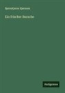 Bjørnstjerne Bjørnson - Ein frischer Bursche