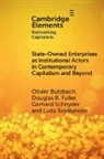 Olivier Butzbach, Olivier (University of Campania ''Luigi Butzbach, Butzbach Olivier, Douglas B. Fuller, Fuller Douglas B., Gerhard Schnyder... - State Owned Enterprises As Institutional Actors in Contemporary