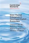Chiara F. Del Bo, Chiara F. (University of Milan) Florio Del Bo, Massimo Florio, Florio Massimo, Marco Frigerio, Daniela Vandone... - State-Owned Enterprises in Developed Market Economies
