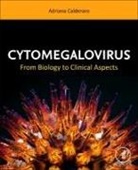 Adriana Calderaro - Cytomegalovirus