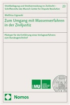 Matthias Gigowski - Zum Umgang mit Massenverfahren in der Ziviljustiz