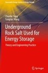 Tongtao Wang, Chunhe Yang - Underground Rock Salt Used for Energy Storage