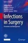 Stefano Bartoli, Francesco Cortese, Massimo Sartelli, Gabriele Sganga - Infections in Surgery