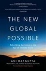 Ani Dasgupta, James A Harmon - The New Global Possible