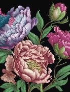 Editors of Chartwell Books - Peonies Journal