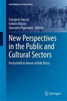 Calogero Guccio, Isidoro Mazza, Giacomo Pignataro - New Perspectives in the Public and Cultural Sectors