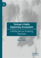 Oguz Güner, Oğuz Güner - Türkiye's Public Diplomacy Ecosystem
