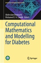 Abdesslam Boutayeb, E N Lamlili, Mohamed E. N. Lamlili, Mohamed E.N. Lamlili - Computational Mathematics and Modelling for Diabetes