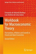 Fernando de Holanda Barbosa, Luiz de Lima Junior, Luiz Antônio de Lima Junior - Workbook for Macroeconomic Theory