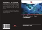 John Yew Huat Tang - Campylobacter - Vue d'ensemble