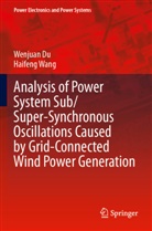 Wenjuan Du, Haifeng Wang - Analysis of Power System Sub/Super-Synchronous Oscillations Caused by Grid-Connected Wind Power Generation