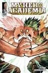 Kohei Horikoshi, Kohei Horikoshi - My Hero Academia