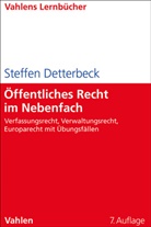 Steffen Detterbeck - Öffentliches Recht im Nebenfach