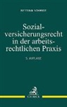Bettina Schmidt - Sozialversicherungsrecht in der arbeitsrechtlichen Praxis