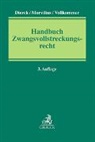 Ralf Dierck, Theodor Morvilius, Gregor Vollkommer, Gregor Vollkommer u a - Handbuch Zwangsvollstreckungsrecht