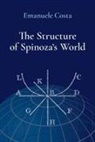 Emanuele Costa, Emanuele (Assistant Professor of Philosophy Costa - Structure of Spinoza''s World