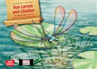 Anne Voges - Von Larven und Libellen. Mit Kindern über den Tod und das Danach philosophieren. Kamishibai Bildkartenset