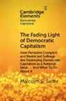 Malcolm S. Salter, Malcolm S. (Harvard Business School) Salter, Salter Malcolm S. - Fading Light of Democratic Capitalism