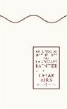 Cesar Aira, César Aira - An Episode in the Life of a Landscape Painter
