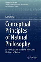 Gal Yehezkel - Conceptual Principles of Natural Philosophy