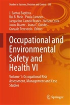 Rui B Melo, J. Santos Baptista, Paula Carneiro, Paula Carneiro et al, Jacqueline Castelo Branco, Nelson Costa... - Occupational and Environmental Safety and Health VI
