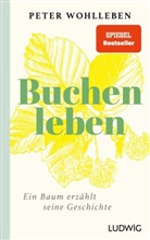 Peter Wohlleben, Mascha Greune - Sonderedition: Buchenleben
