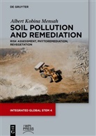 Albert Kobina Mensah - Soil Pollution and Remediation