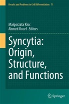 Malgorzata Kloc, Ahmed Uosef - Syncytia: Origin, Structure, and Functions