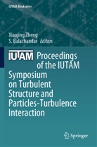 Balachandar, S. Balachandar, Xiaojing Zheng - Proceedings of the IUTAM Symposium on Turbulent Structure and Particles-Turbulence Interaction