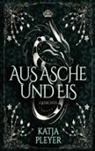 Katja Pleyer - Aus Asche und Eis