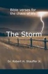 Robert Stauffer - The Storm