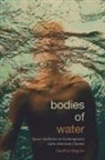 Geoffrey Maguire - Bodies of Water