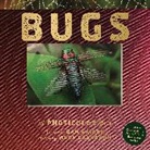 Mara Grunbaum, Grunbaum Mara, Dan Kainen, Kainen Dan - Bugs