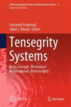 Fernando Fraternali, J Rimoli, Julian J. Rimoli - Tensegrity Systems