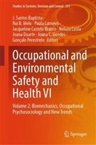 Rui B Melo, J. Santos Baptista, Paula Carneiro, Paula Carneiro et al, Jacqueline Castelo Branco, Nelson Costa... - Occupational and Environmental Safety and Health VI