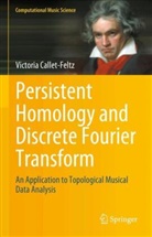 Victoria Callet-Feltz - Persistent Homology and Discrete Fourier Transform