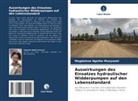 Magdalene Ngethe Munywoki - Auswirkungen des Einsatzes hydraulischer Widderpumpen auf den Lebensstandard