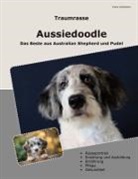 Franz Schlichter - Traumrasse Aussiedoodle