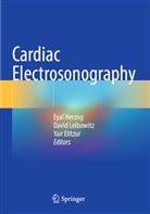 Yair Elitzur, Eyal Herzog, David Leibowitz - Cardiac Electrosonography