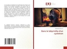 Abdelhafid Mimouni - Dans le labyrinthe d'un cyclotron