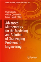 Oscar Castillo, Gökhan Çuvalcioglu, Gökhan Çuvalcıoğlu, Feride Tugrul, Feride Tuğrul - Advanced Mathematics for the Modeling and Solution of Challenging Problems in Engineering