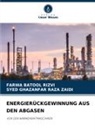 Farwa Batool Rizvi, Syed Ghazanfar Raza Zaidi - ENERGIERÜCKGEWINNUNG AUS DEN ABGASEN
